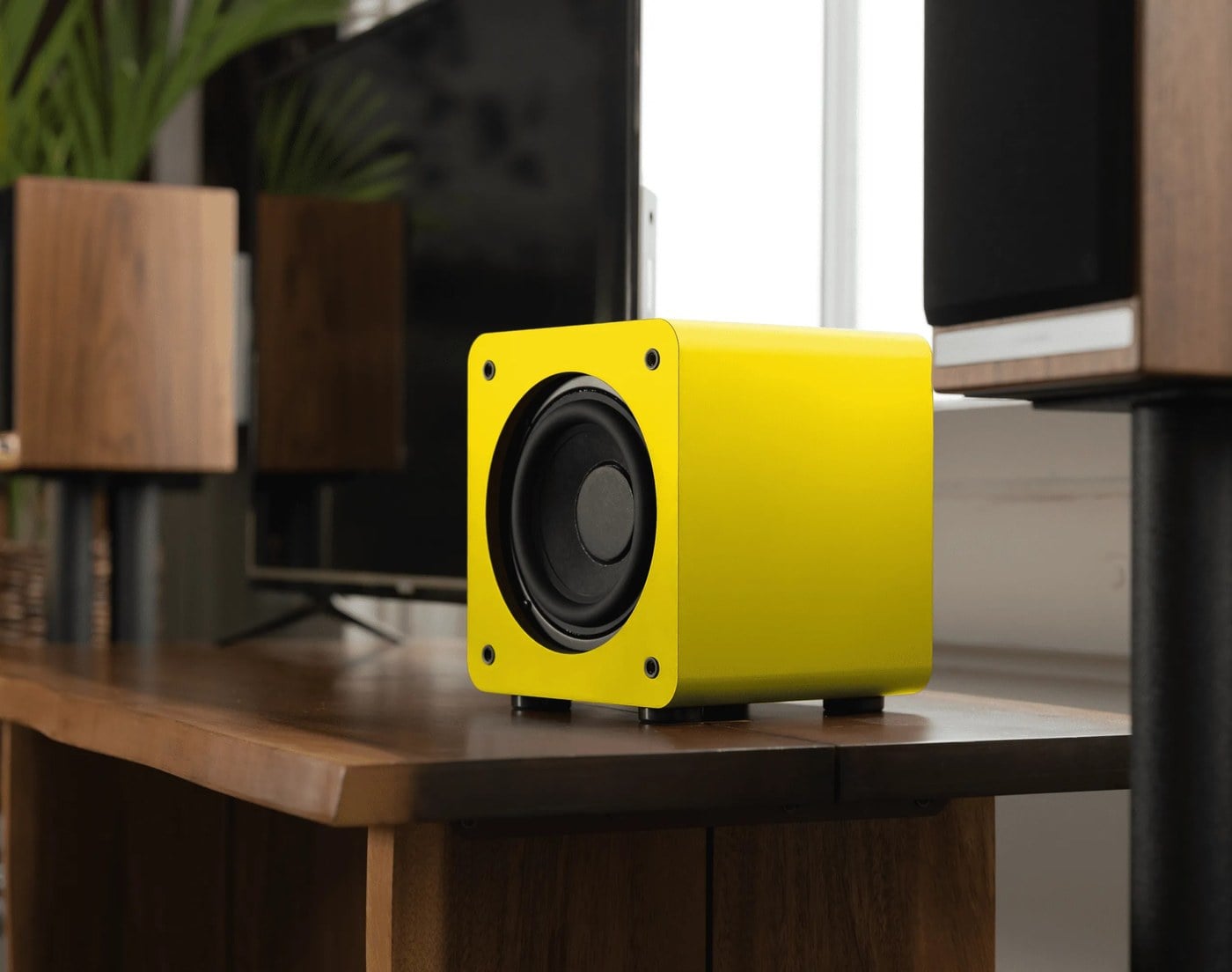 Yellow Audioengine S6 powered subwoofer on a walnut shelving unit